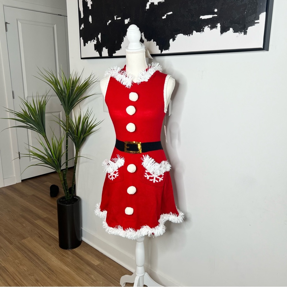 Santa Baby Holiday Party Dress